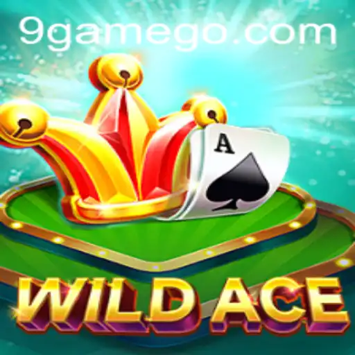 Explorando o Jogo Inovador WildAce: Uma Nova Era de Entretenimento com 9.GAME
